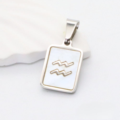 Silver Aquarius charm
